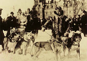 Leonhard Seppala and Siberian sled dogs at Ottawa